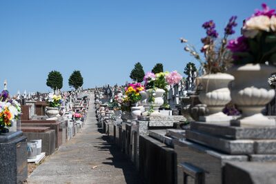 A row of headstones with flowers under a bright blue sky